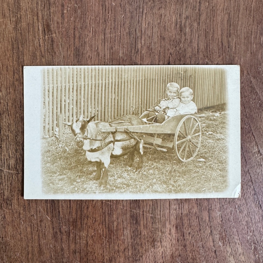 Antique daguerreotype Photograph Snapshot two children in goat drawn cart